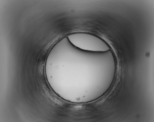 X0000116100153200911230940