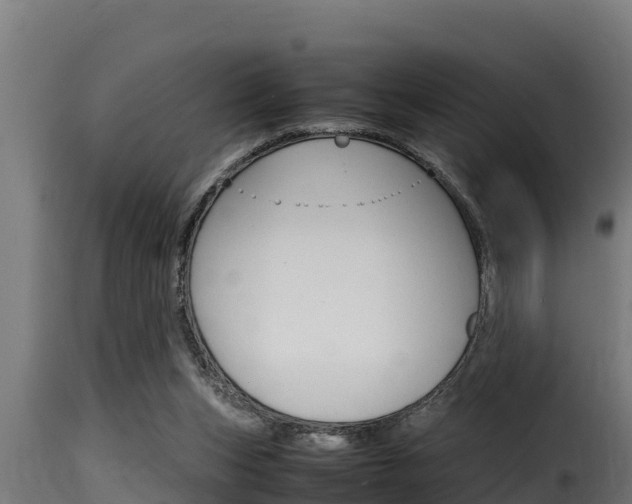 X0000116100159200911230940