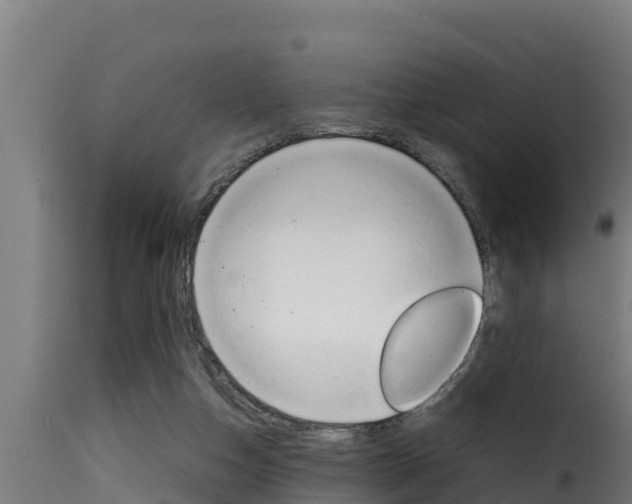 X0000116100162200911230940
