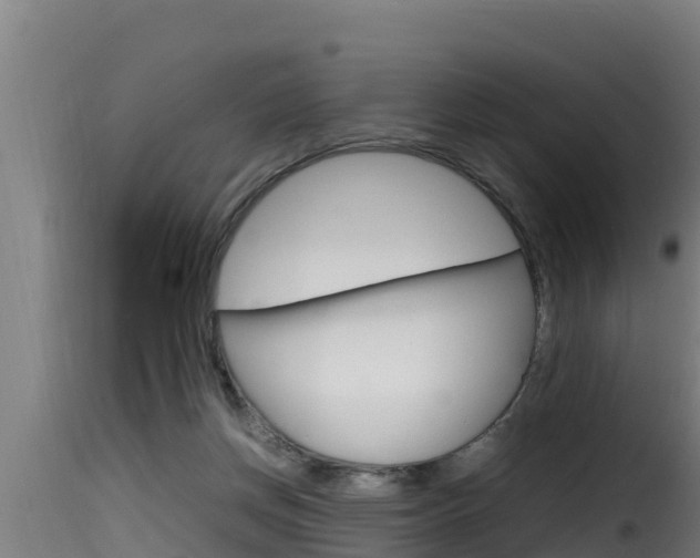 X0000116100166200911230940