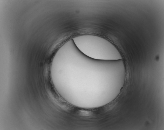 X0000116100167200911230940