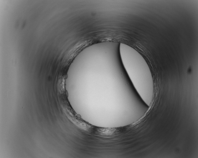 X0000116100191200911230940