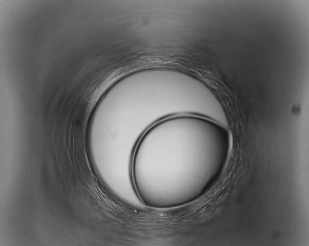 X0000116100195200911230940