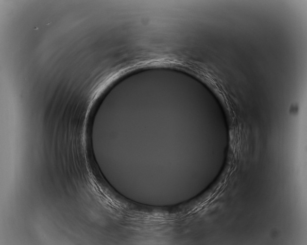 X0000116100196200911230940