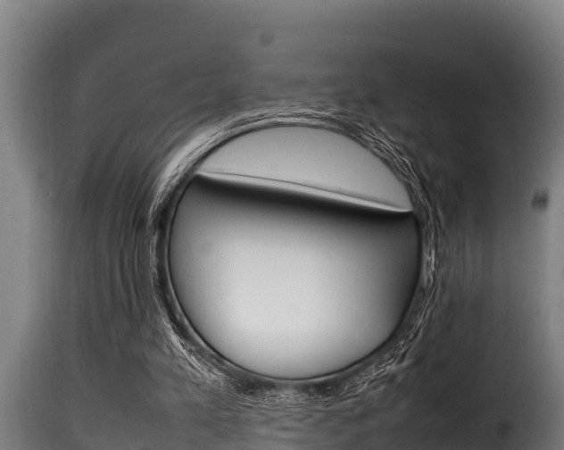 X0000116100197200911230940