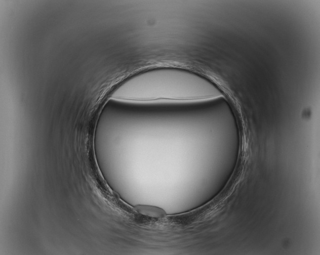 X0000116100201200911230940