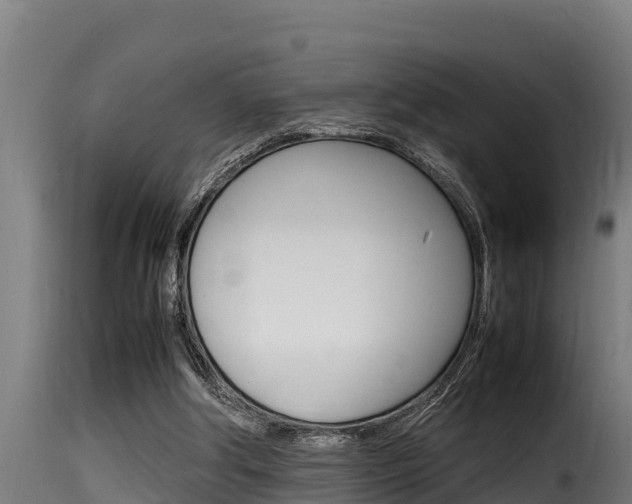 X0000116100202200911230940