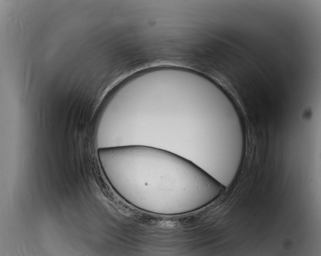 X0000116100204200911230940