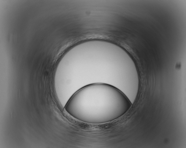 X0000116100207200911230940