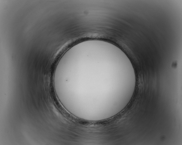 X0000116100208200911230940