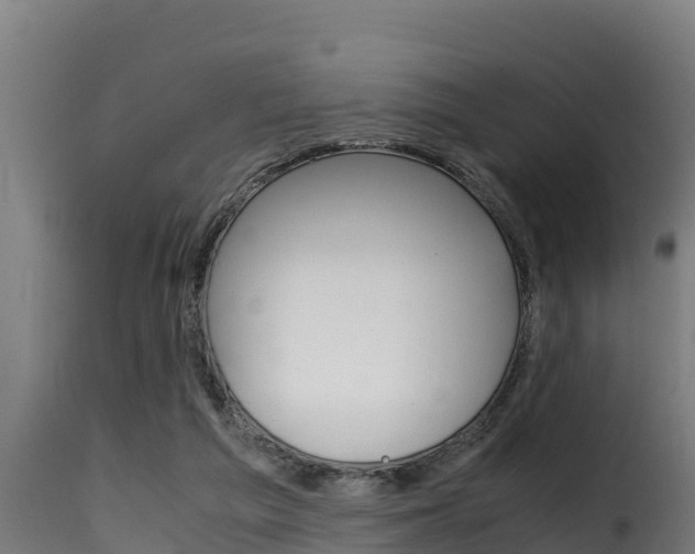 X0000116100209200911230940