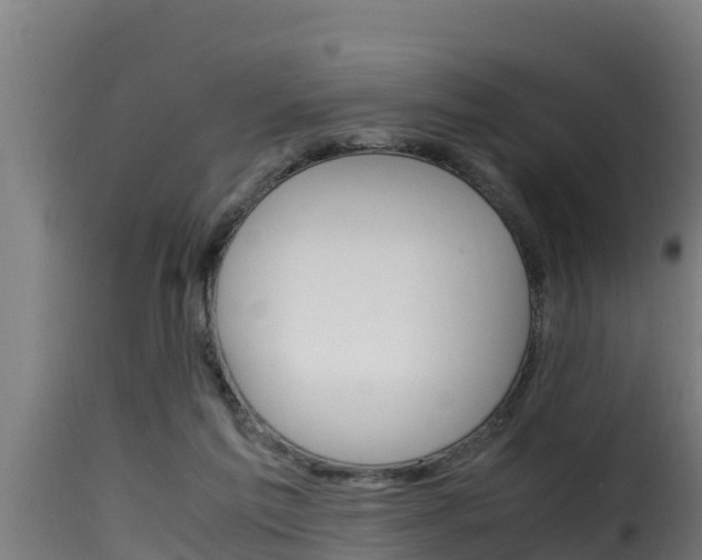 X0000116100213200911230939