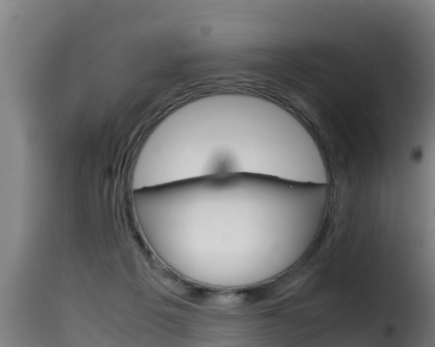 X0000116100217200911230939