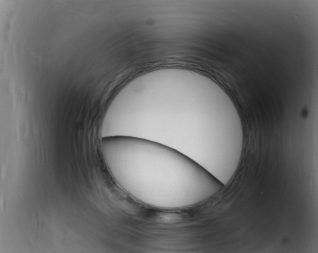 X0000116100220200911230939