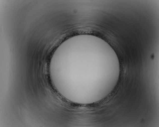 X0000116100224200911230939