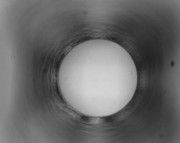 X0000116100226200911230939