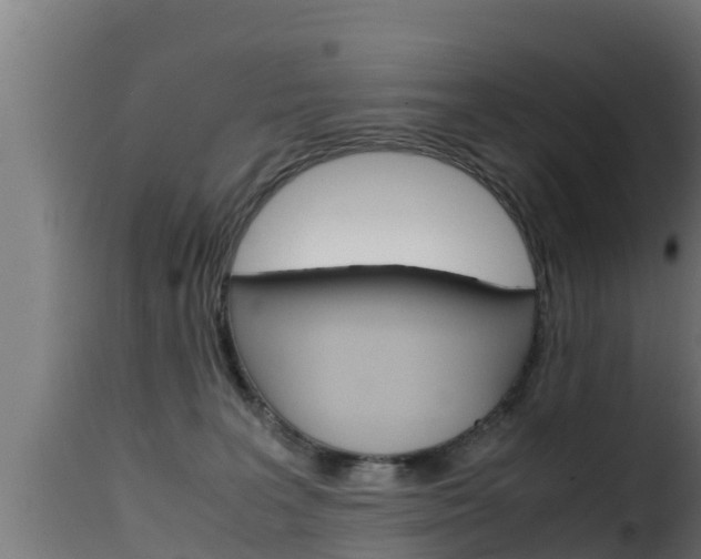 X0000116100227200911230939