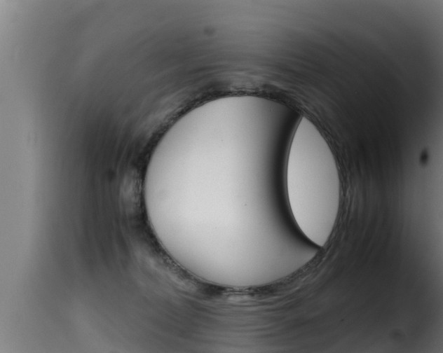 X0000116100228200911230939