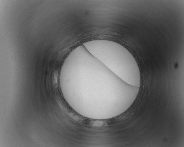 X0000116100230200911230939