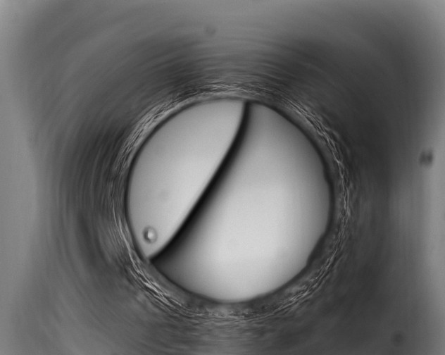 X0000116100241200911230938