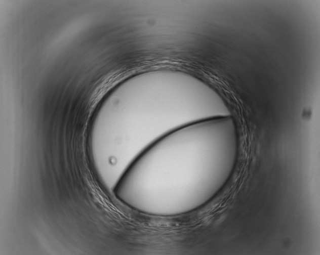 X0000116100242200911230938