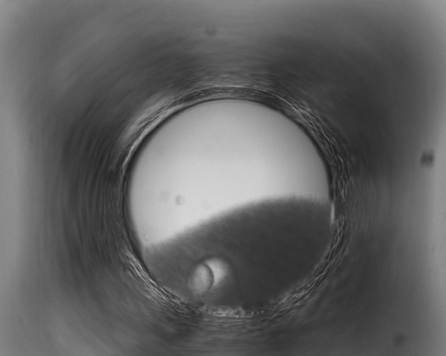 X0000116100243200911230938