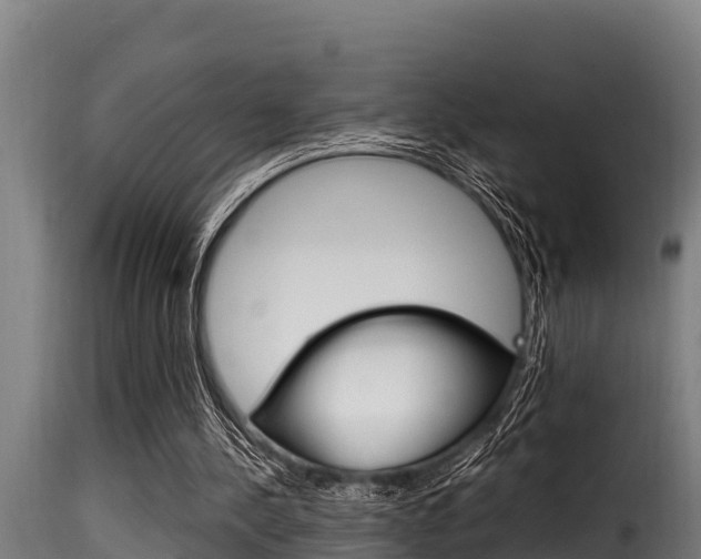 X0000116100244200911230938