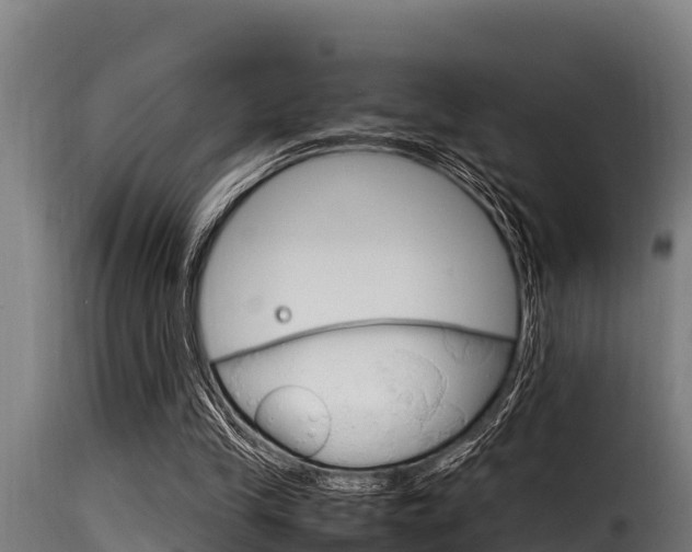 X0000116100245200911230938