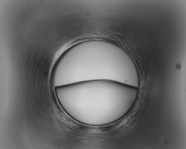 X0000116100246200911230938