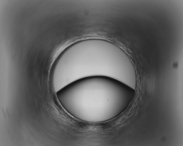 X0000116100248200911230938