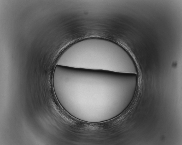 X0000116100249200911230938