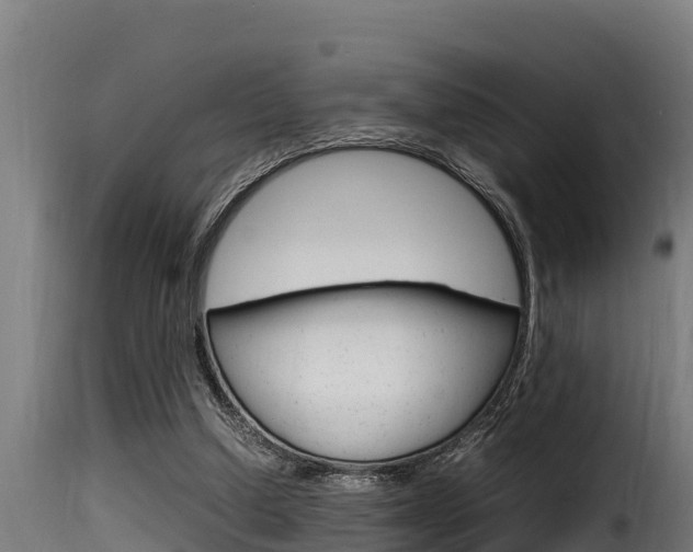 X0000116100250200911230938
