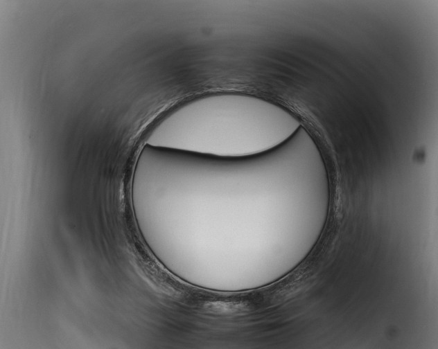 X0000116100251200911230938