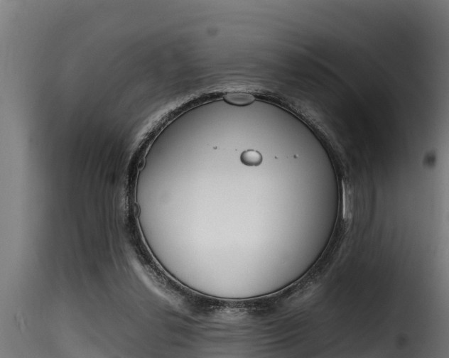 X0000116100252200911230938