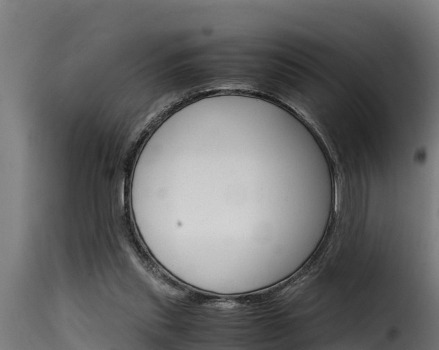 X0000116100253200911230938