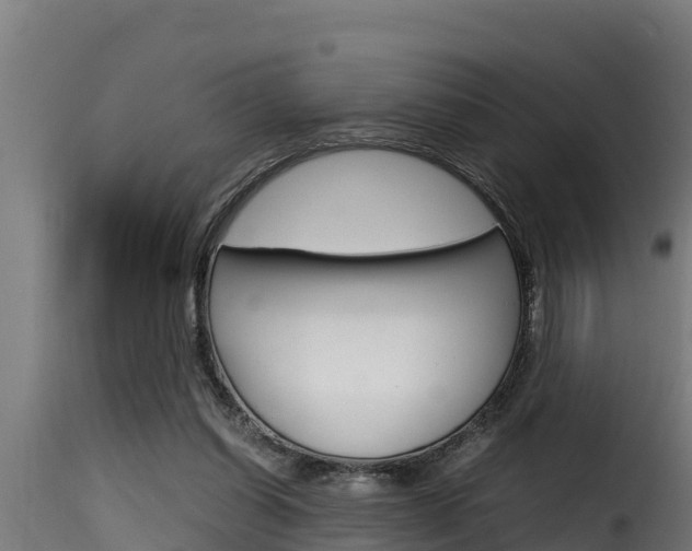 X0000116100254200911230938