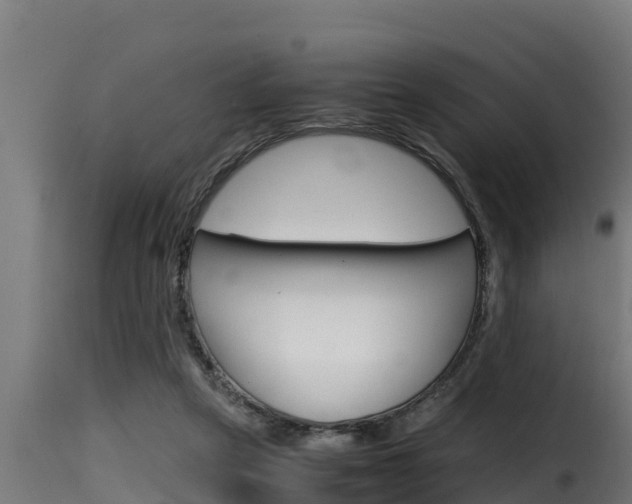 X0000116100257200911230939