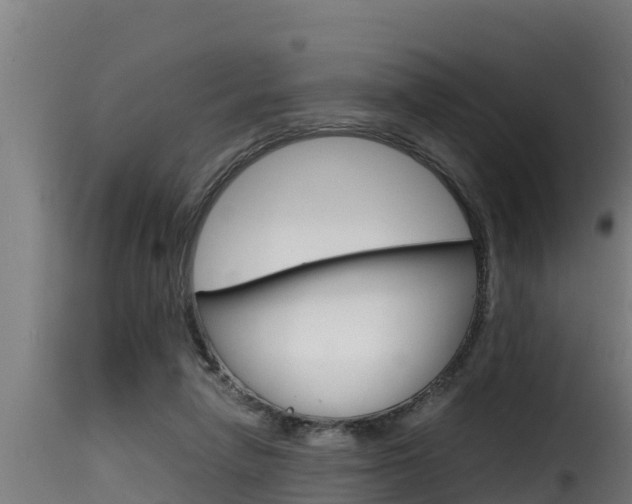 X0000116100258200911230939
