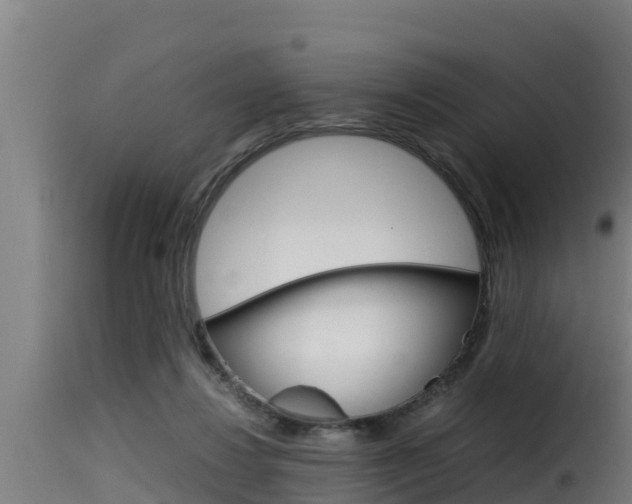 X0000116100260200911230939