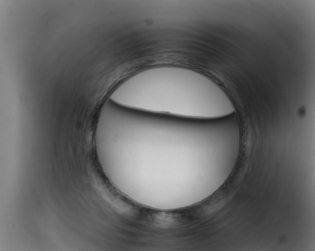 X0000116100261200911230939