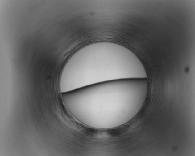 X0000116100262200911230939
