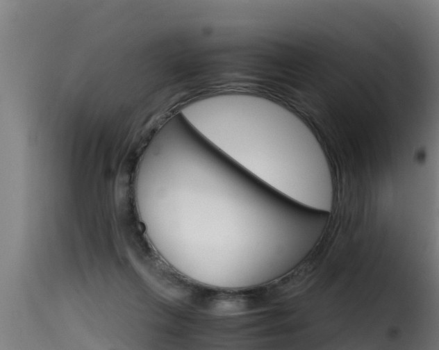 X0000116100263200911230939