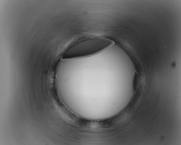 X0000116100264200911230939