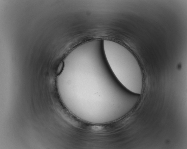 X0000116100265200911230939