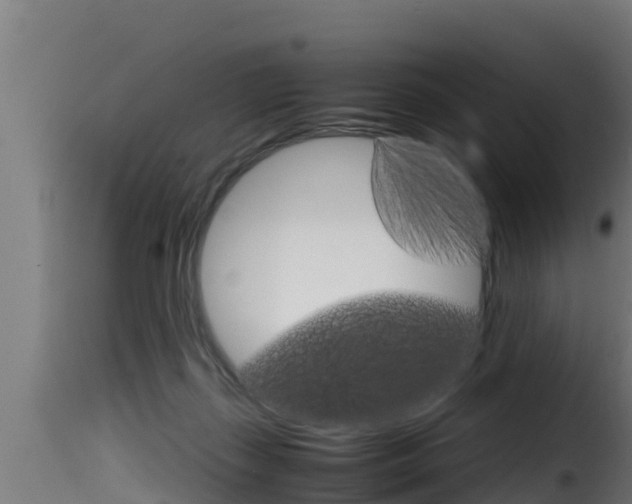 X0000116100267200911230939