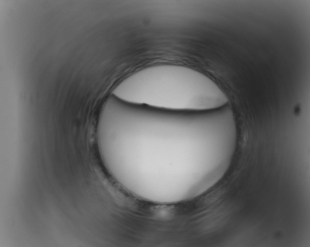 X0000116100273200911230939