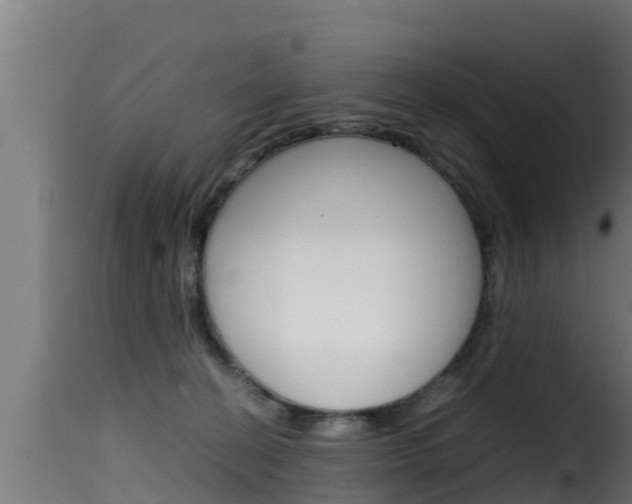 X0000116100274200911230939