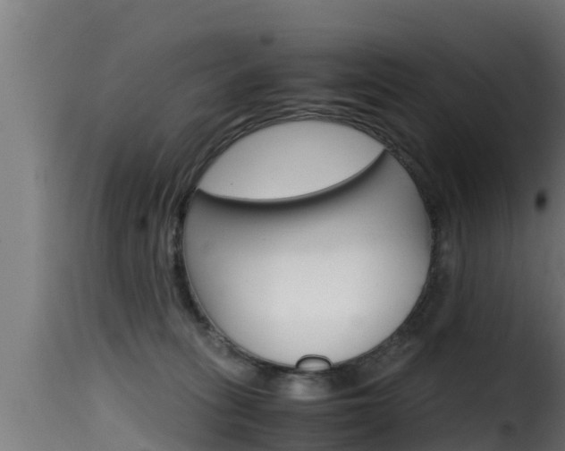 X0000116100275200911230939