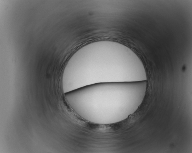 X0000116100278200911230939