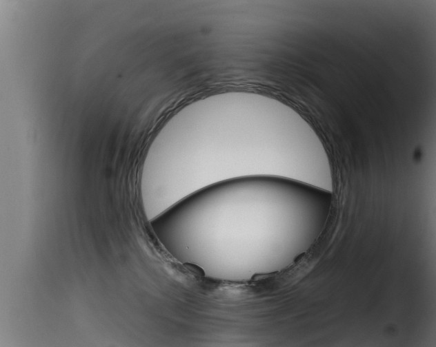 X0000116100280200911230939